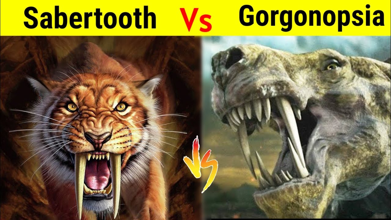 Gorgonopsia Vs Sabertooth Tiger | क्या Dinosaur से भी पुराना शिकारी मार पायेगा Smilodon को ?