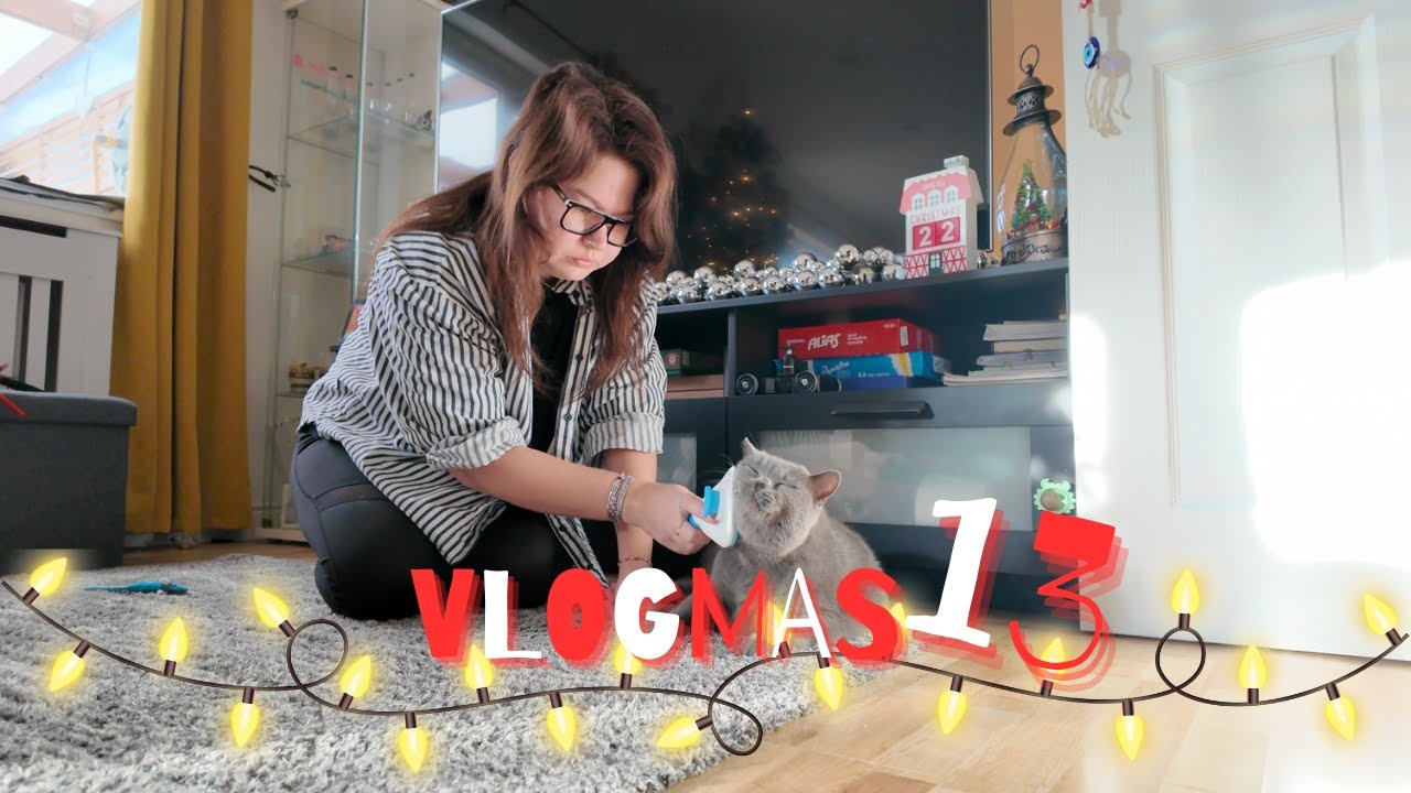 VLOGMAS 13 🎄 Q&A raspund intrebarilor voastre | vremea iar ne-a dat planurile peste cap
