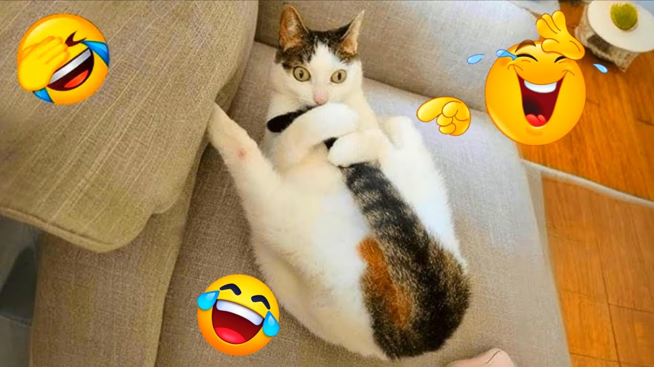 My Cat's Tail is POSSESSED! (You WON'T Believe What Happens)