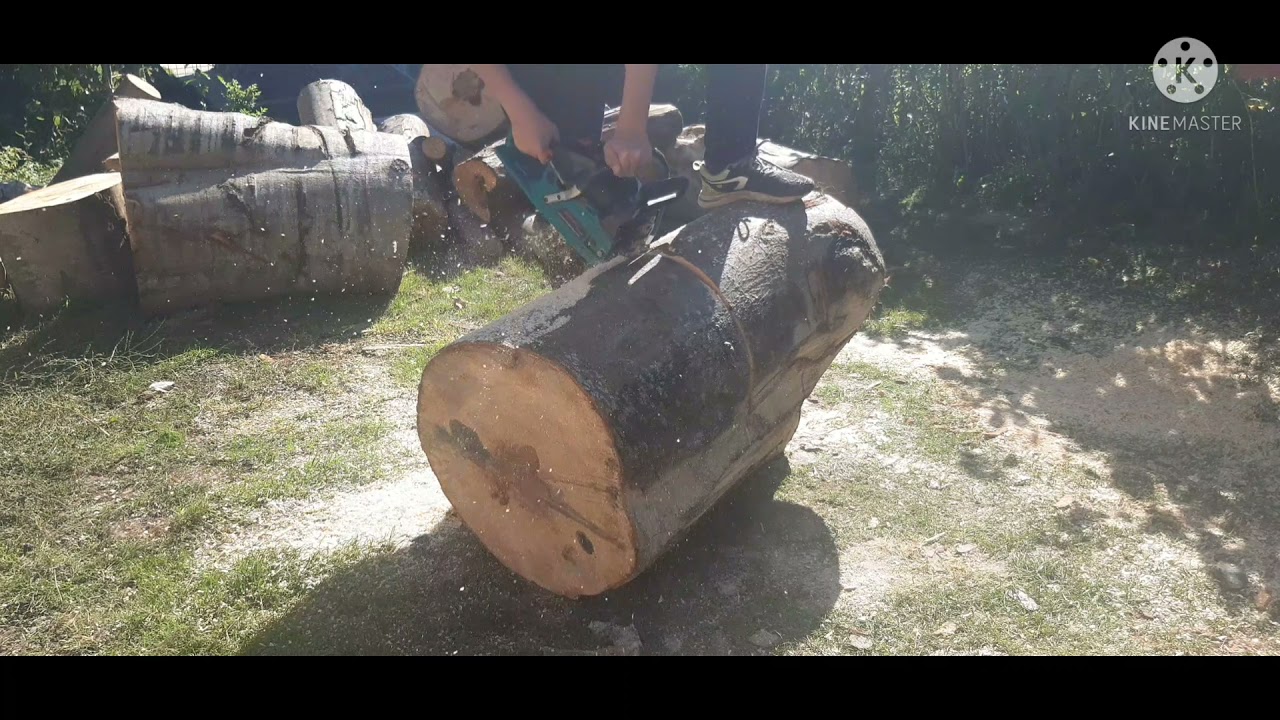 am terminat toate lemnele de tăiat cu drujba