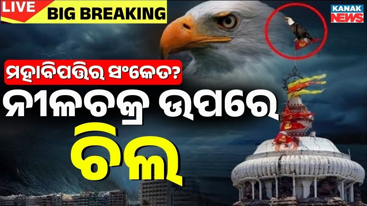 Live ନୀଳଚକ୍ର ବାନାରେ ବସିଲା ଚିଲ | Puri Jagannath Temple: Eagle Perches on Patitapabana Flag