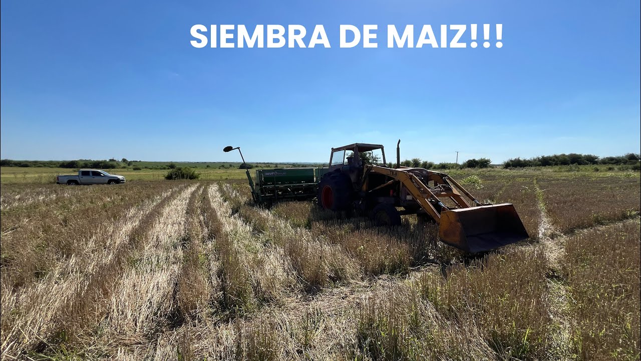 PREPARANDO SEMBRADORA Y SEMBRANDO MAIZ | HANOMAG R60