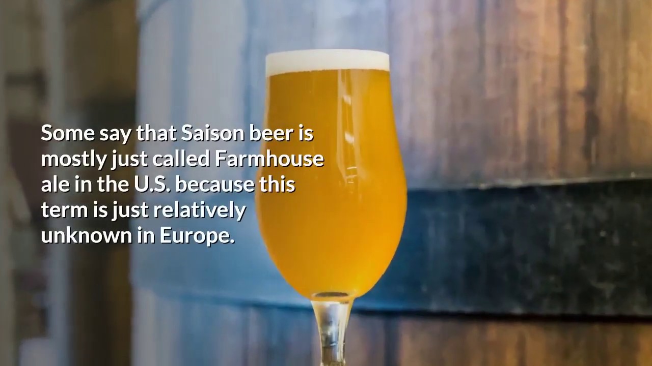 What is a Saison Beer? What Kind of Beer Is a Saison? (SAISON BEER) &raquo; HomeBrewAdvice.com