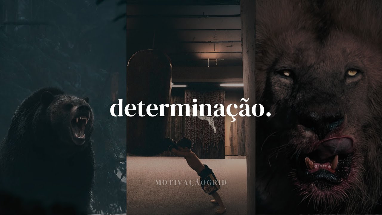 SÓ OS DETERMINADOS VENCEM – Discurso Direto com Abilio Diniz