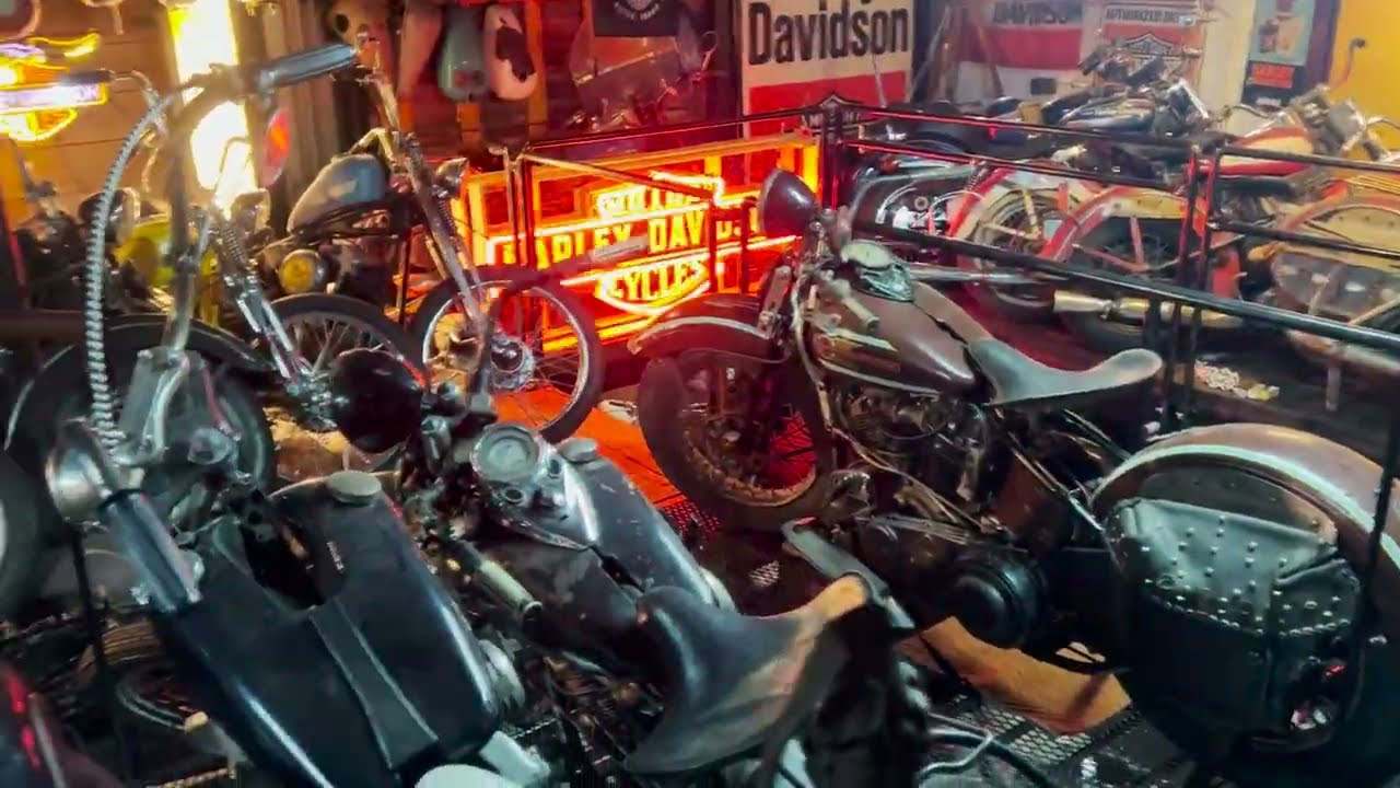 Insane Vintage Harley Collection in Japan BLUE GROOVE Kamakura