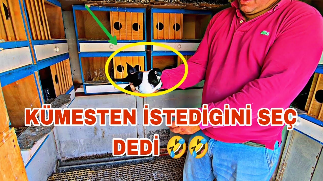 ADAM KÜMESTEN İSTEDİGİNİ SEÇ DEDİ SİZCE HANGİLERİNİ ALMİŞİM
