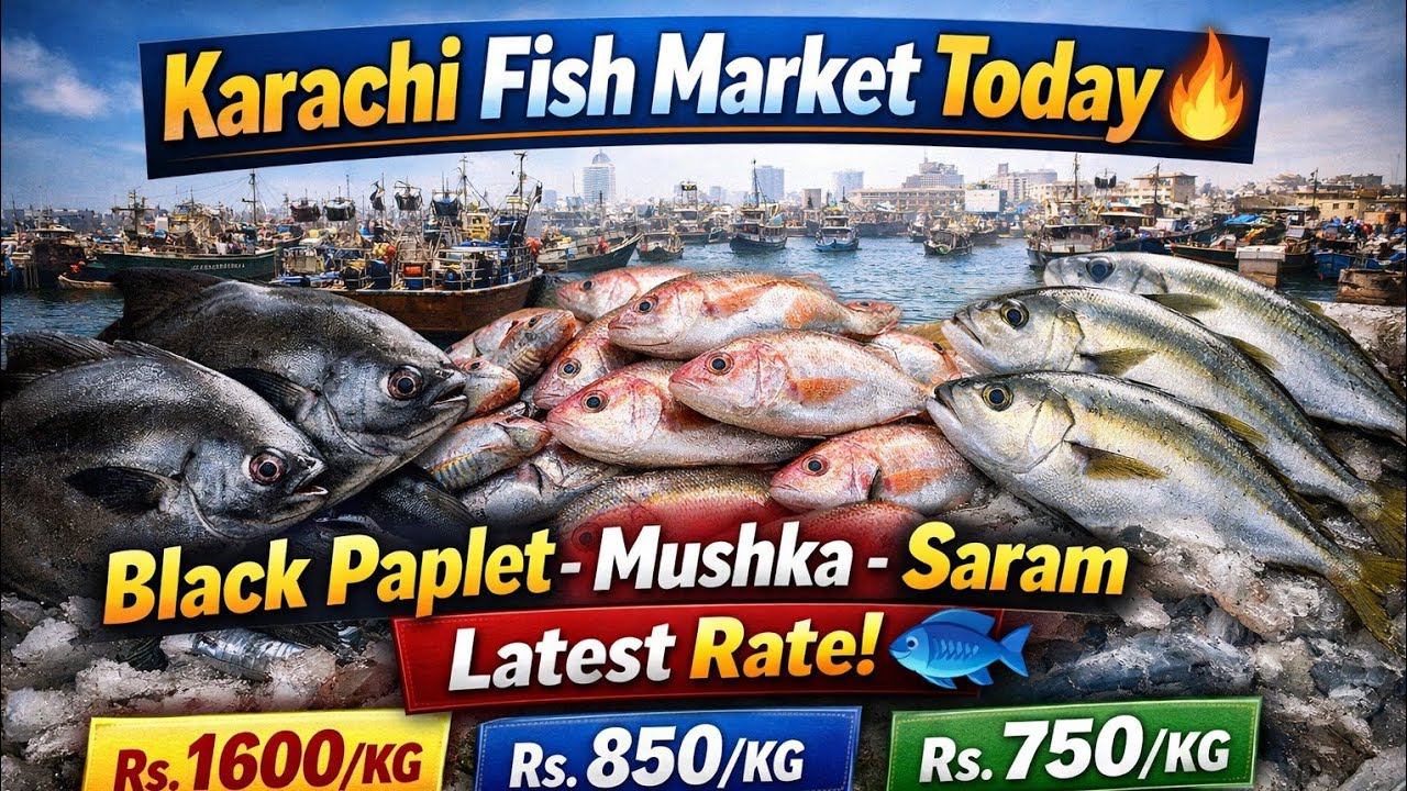 🔥 Today Karachi Fish Market Rate Update | Black Paplet, Mushka & Saram Fish Latest Prices 🐟