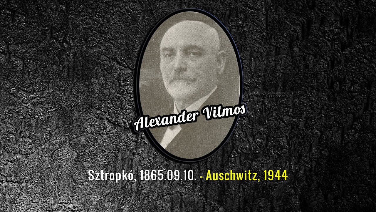 Alexander Vilmos (1865 - 1944)