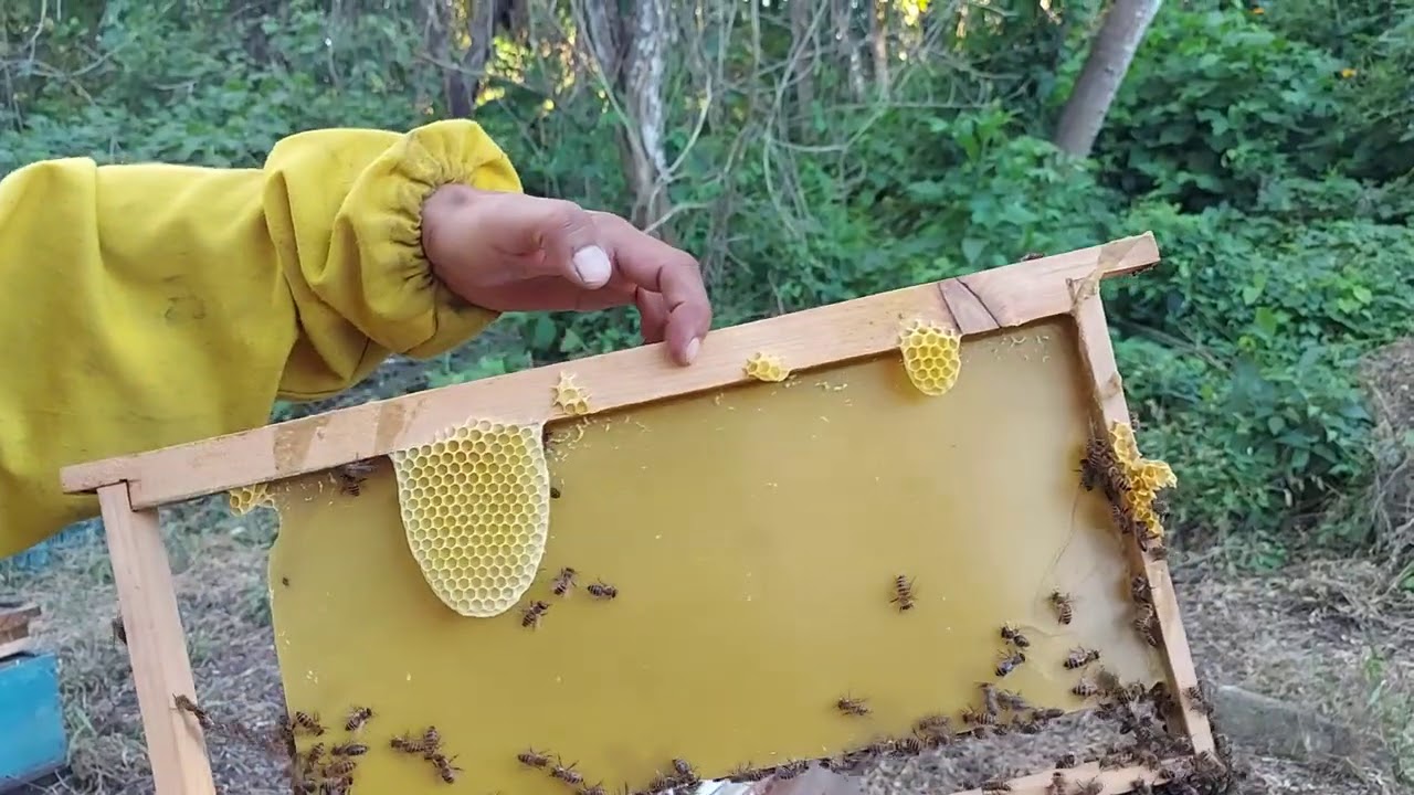 Seguimiento de utilizacion de cera sin estampar