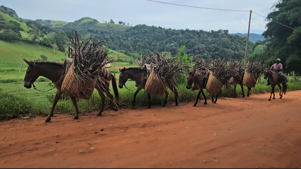 44 anos de Tropeiro na mesma fazenda mostra a diferença ,S.Luizinho quem tem história pra contar 
