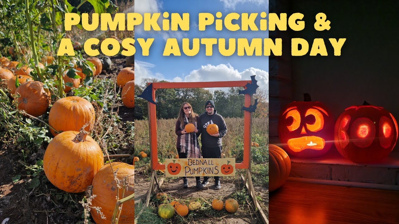 Halloween Pumpkin Picking in Staffordshire | A Perfect Cosy Autumn Day