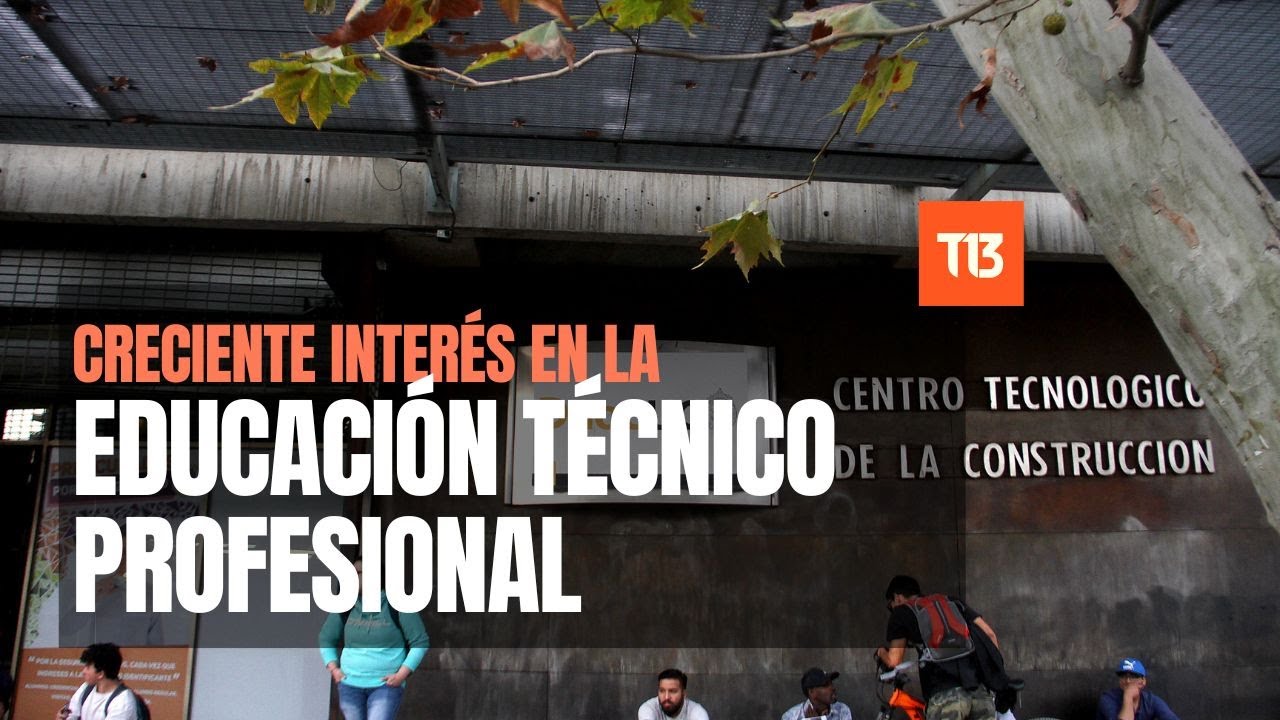 ¿Cuáles son los principales desafíos de los institutos profesionales y centros de formación técnica?