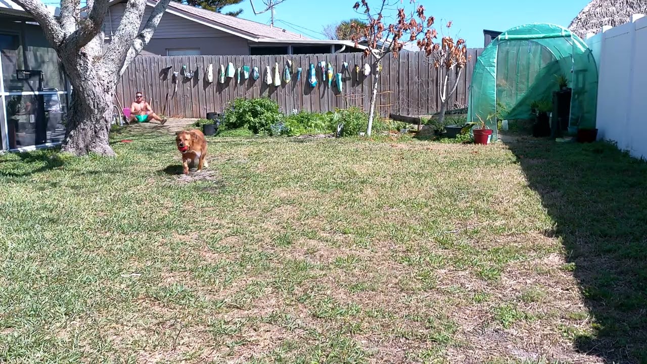 Fetching Foxy 141 Says Tastes great