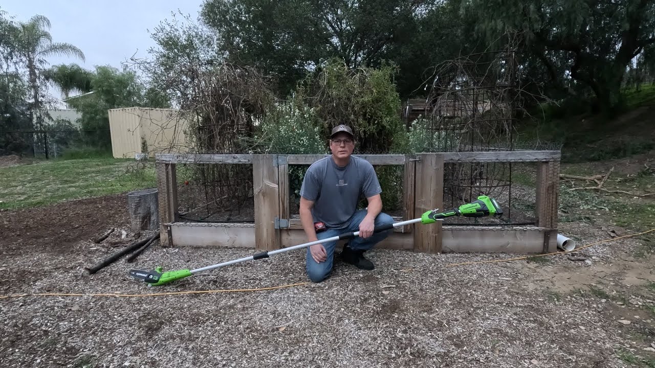 Greenworks 24v pole saw review and cutting a variety of limbs