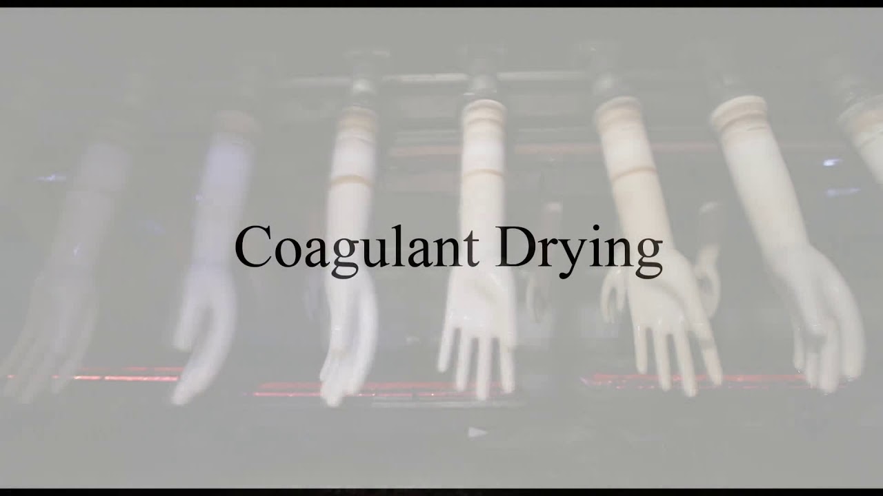 Lenora gloves Pvt Ltd production run full video