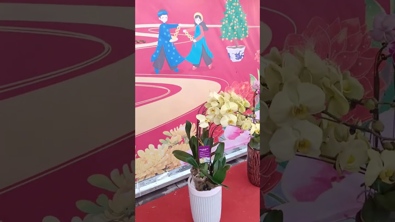 Chợ hoa tết 2026 phần 7