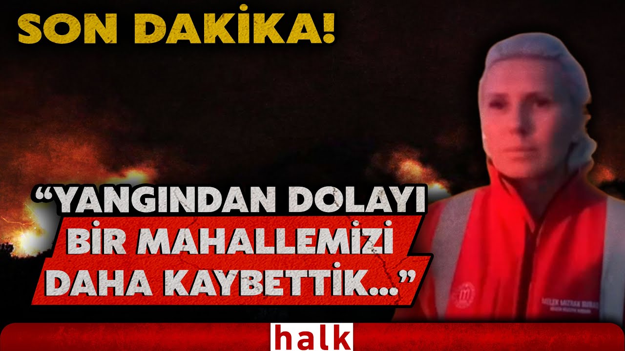 SON DAKİKA! Bilecik'te orman yangını büyüyor... Belediye Başkanı Melek Subaşı son durumu anlattı