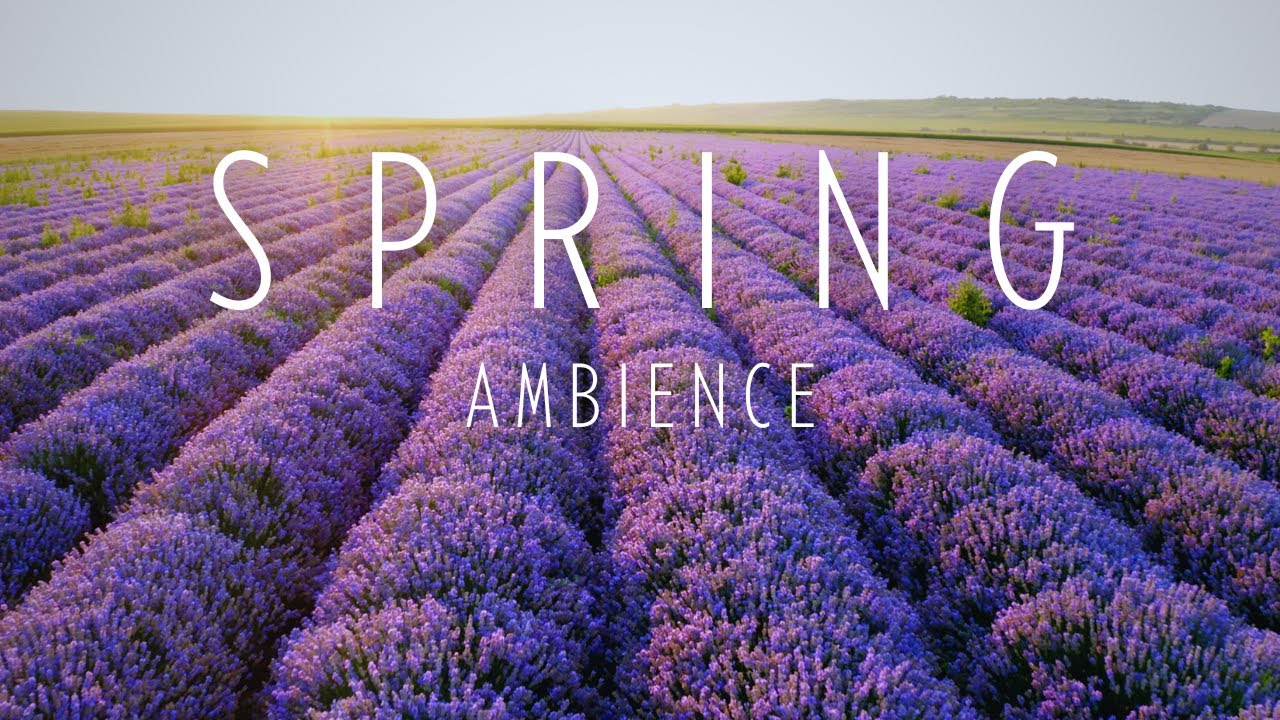 🌹  【Ambient ✧ Relaxing】  ⌁ Spring Piano Vibes to Medidate & Recharge  ⌁ Playlist 🎷