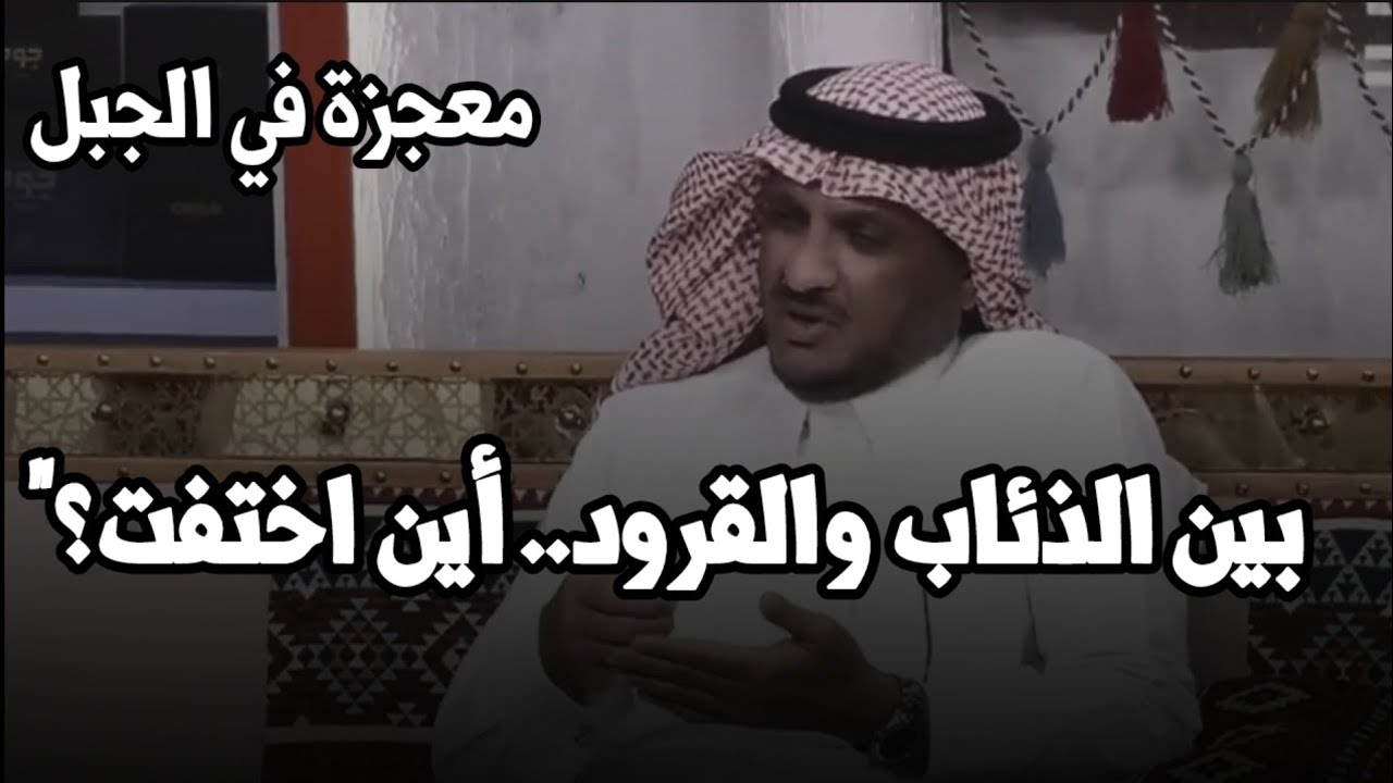 تمنى يشوفها 'ميتة' من هول الفاجعة.. أغرب قصة ضياع طفلة في الغابة، وما فعلته الأم أذهل الجميع! 🔥