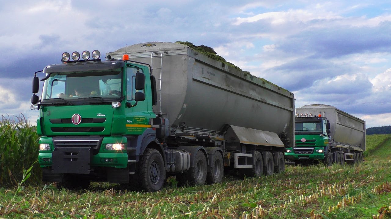 TATRA Phoenix AgroTruck | Claas Jaguar 980 - Corn Silage 2015