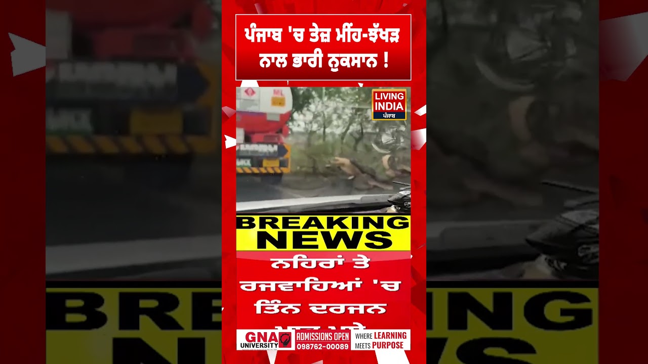 Punjab 'ਚ ਤੇਜ਼ ਮੀਂਹ-ਝੱਖੜ ਨਾਲ ਭਾਰੀ ਨੁਕਸਾਨ !| Weather Update | Forcast | Update | Weather Department