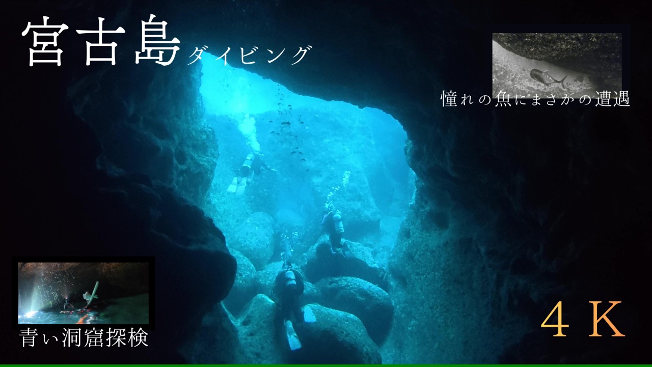 【宮古島ダイビング】青い洞窟と１メートル超えの巨大魚に遭遇