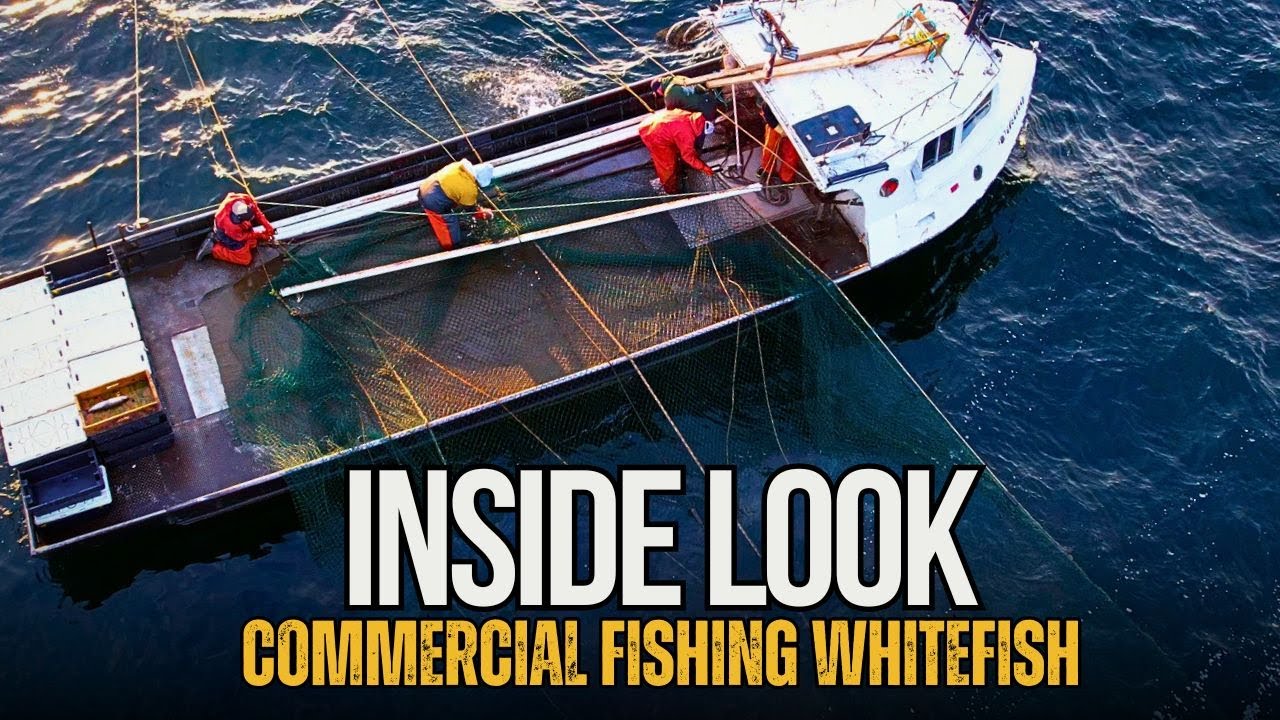 Inside Look Commercial Whitefish Fishing on Lake Michigan