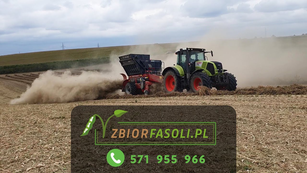 MŁÓCENIE FASOLI DOUBLE MASTER 4 4S na SEZON 2023 - Kostrubiec - zbiorfasoli.pl - tel. 571 955 966