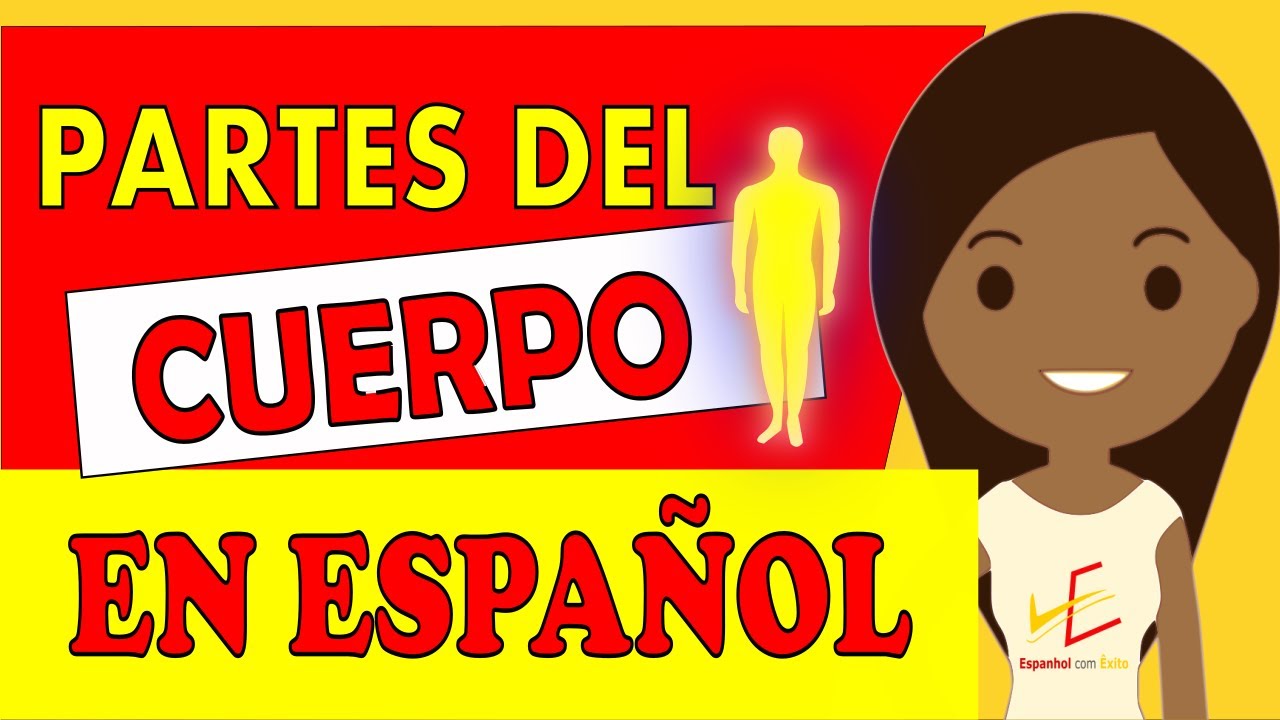 Partes do Corpo em Espanhol – partes del cuerpo en español (aula de espanhol online)