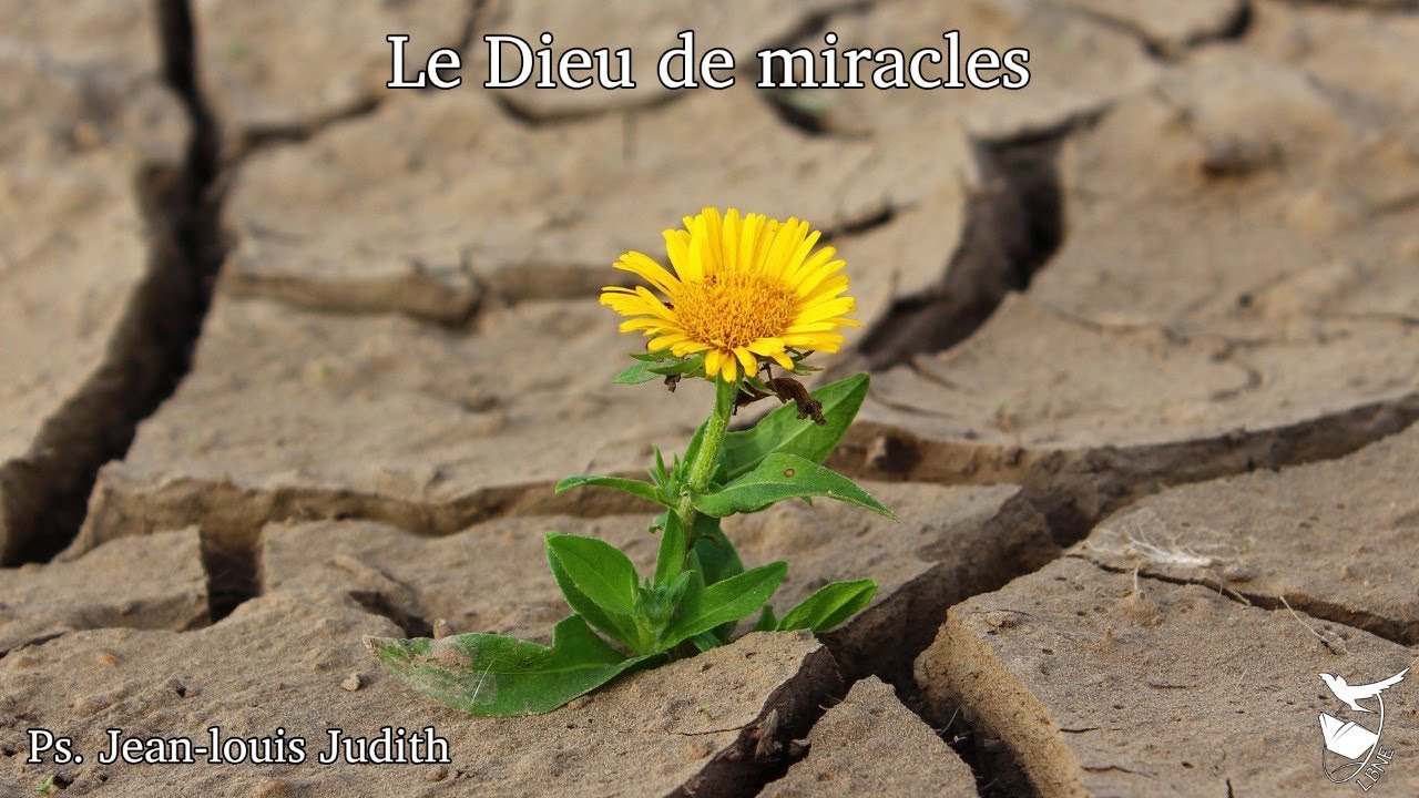 Le Dieu de miracles