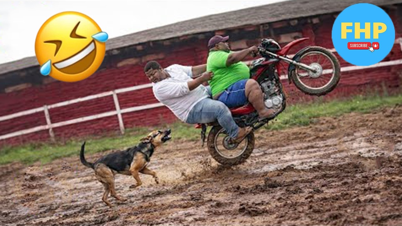 Try Not To Laugh 🤣 Top 100 Funniest Videos Ever 😂 | Funny Videos Compilation 2026 #31