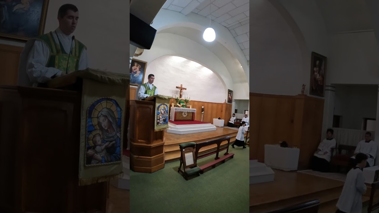SSPX Catholic Church Pinelands 2025 11 23