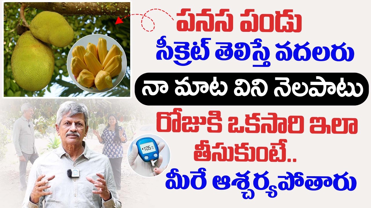 పనస పండు అద్భుత ఉపయోగాలు .. | Uses Of Panasa | Jackfruit Health Benefits | Anjaneya Raju | iDream