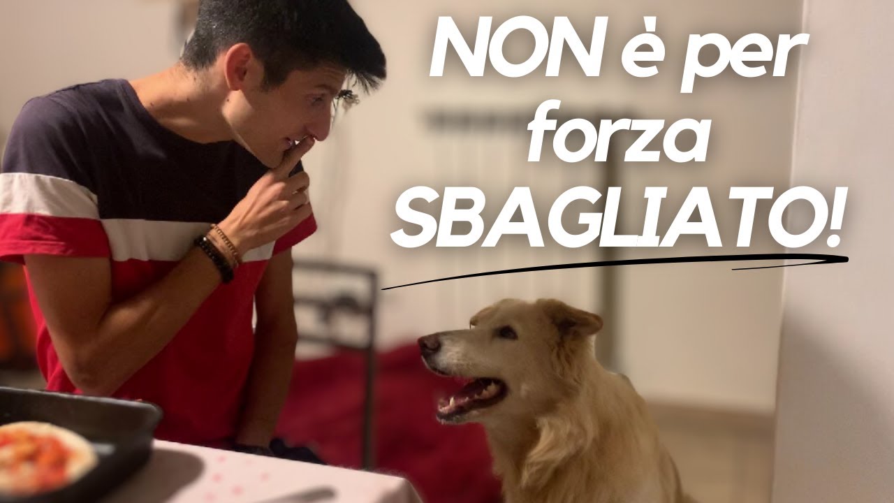 Cibo dalla tavola al cane? Sì, ma solo se rispetti questa condizione...