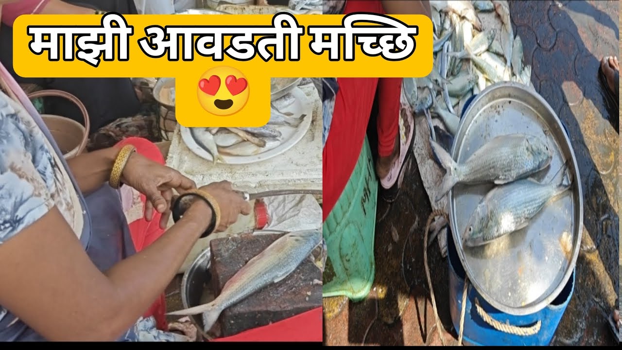 Majhi Avadti Macchi🐟 | Fish Market 😍 ekdacha barr vatal ani aaj cha साधा दिवस ☺️
