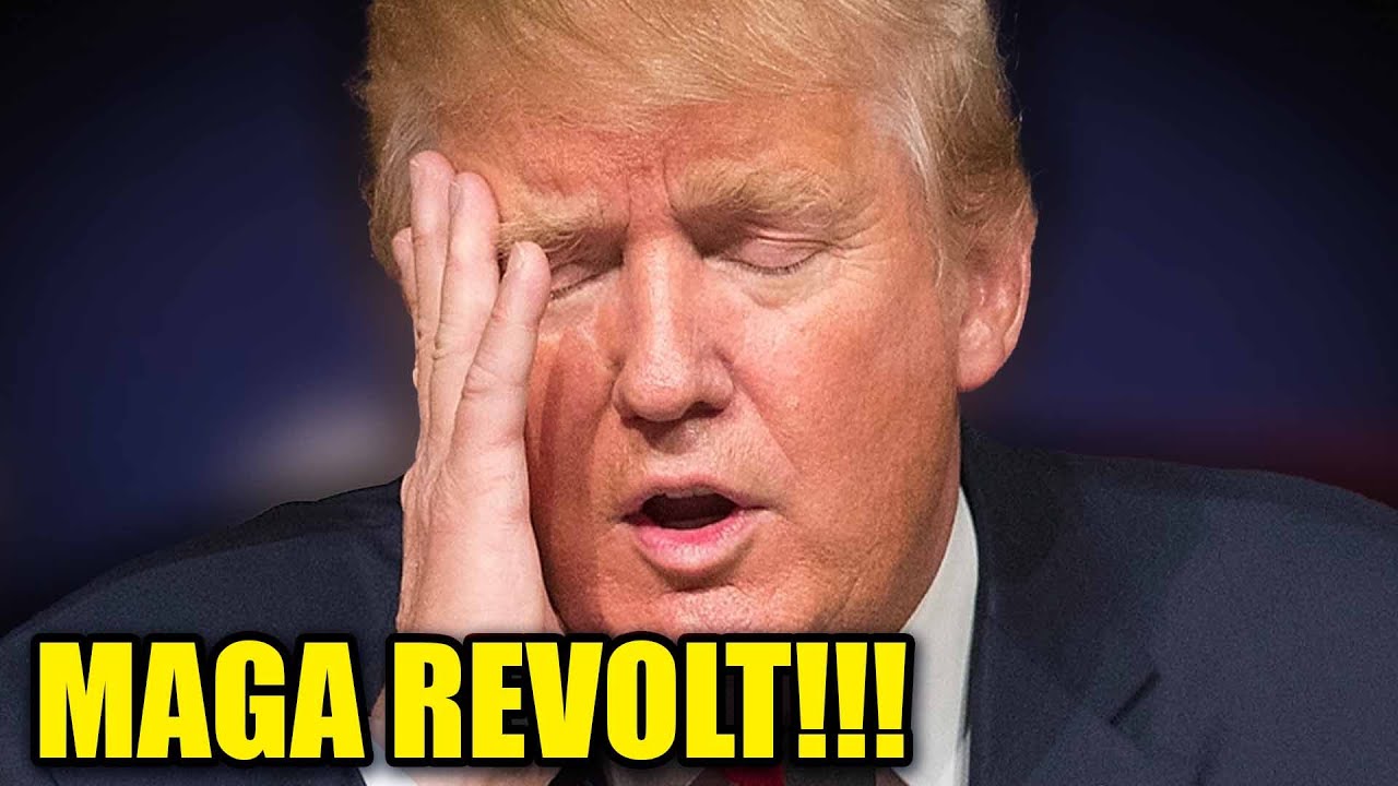 MAGA Supporters REFUSE to Pay Taxes in STUNNING Anti-Trump Protest