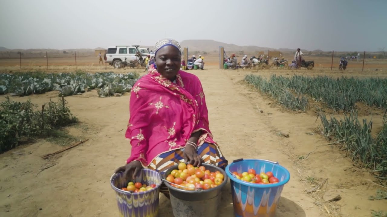 Managing crises - Strengthening Resilience in the Sahel