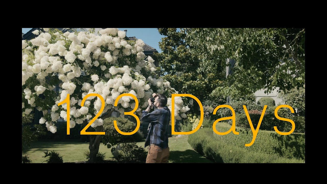 123 Days of Daily Photography Changed Everything