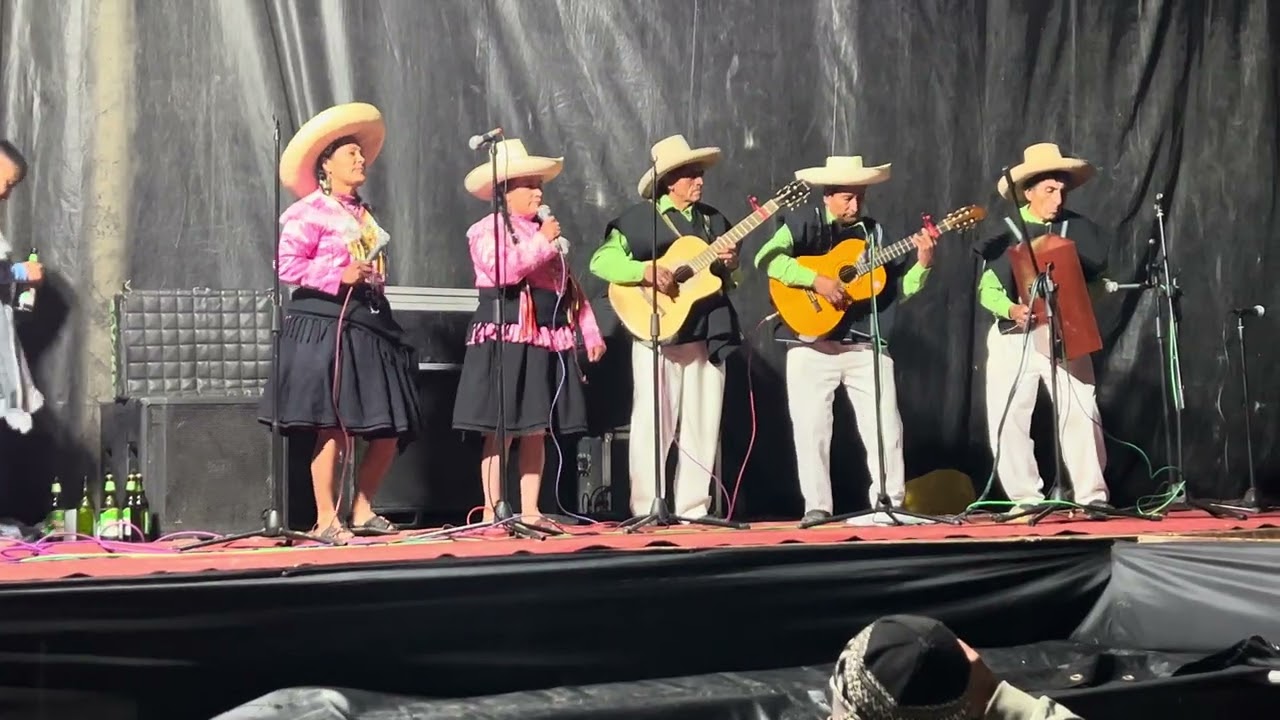 Corazón andino de chota 