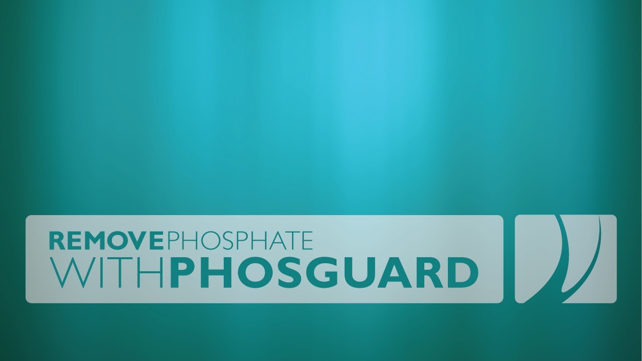 Remove Phosphate with PhosGuard (without media reactor)