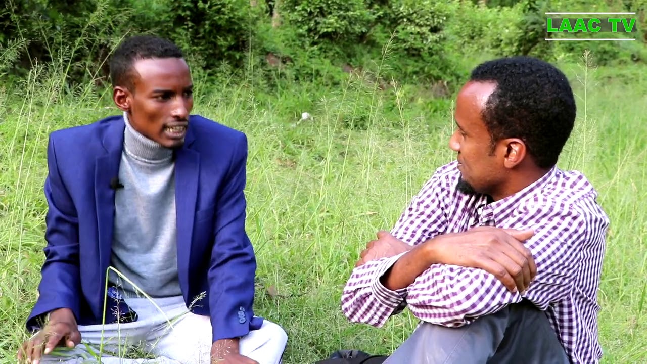 Abwaan Hankoolka Galmudug, Suugaan cajiib ah