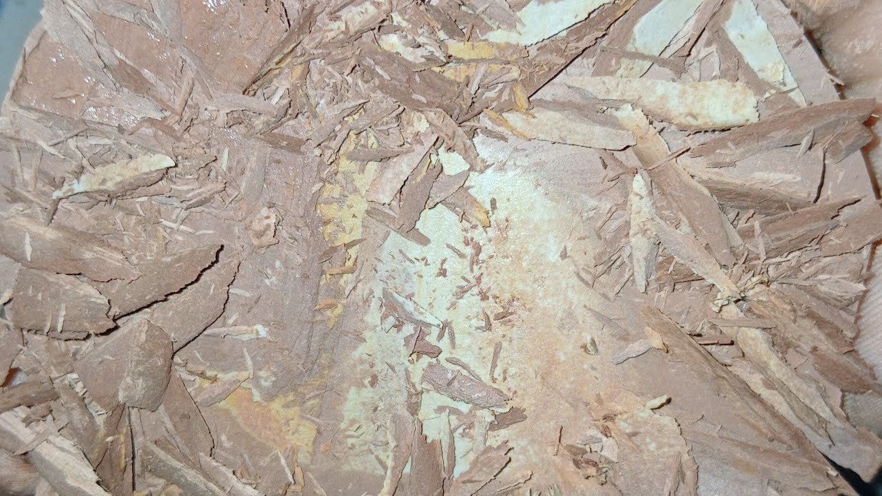 BIRTHDAY SPECIAL 🎂 ALL MIX RED SLATE ITEMS WET CLEANING VIDEO 