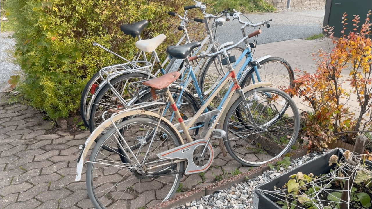 Накопление велосипедов заставило меня меньше ездить