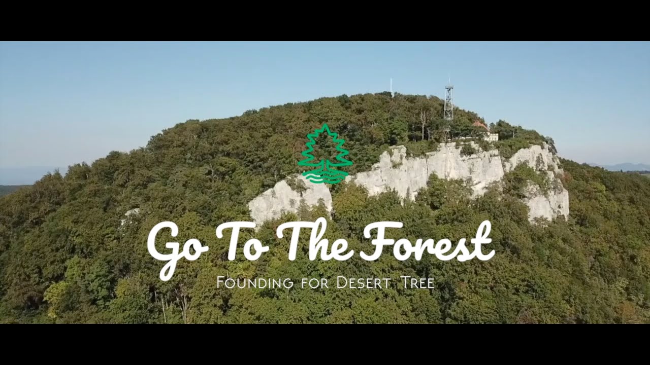 I.G.I - Go to the Forest ft. Mr. Kamanzi, Zenx & Senseman (Official Video)