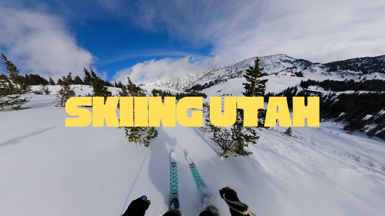 snowbird, alta, and solitude