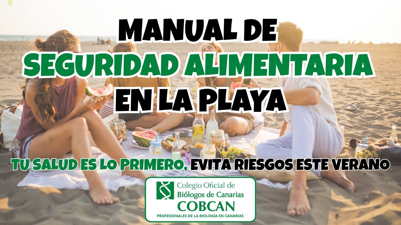 ¿Qué tipo de comida debemos llevar a la playa, especialmente en verano, para evitar riesgos?