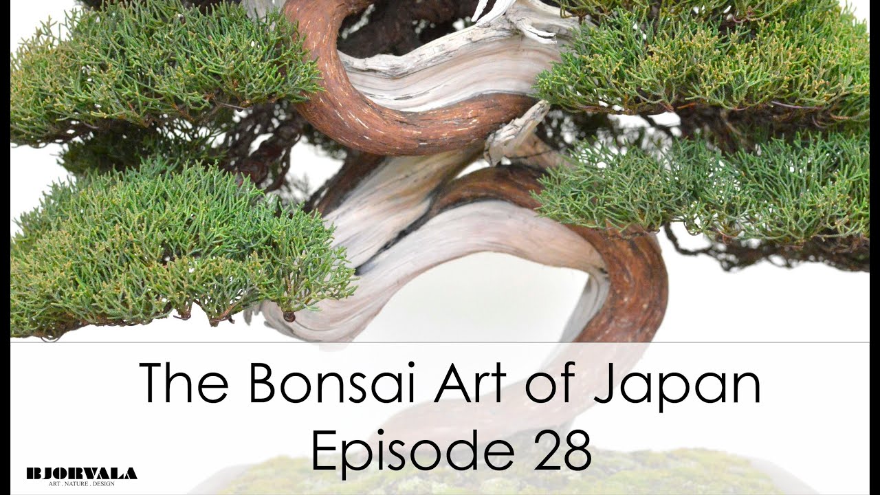 The Bonsai Art of Japan - Episode 28