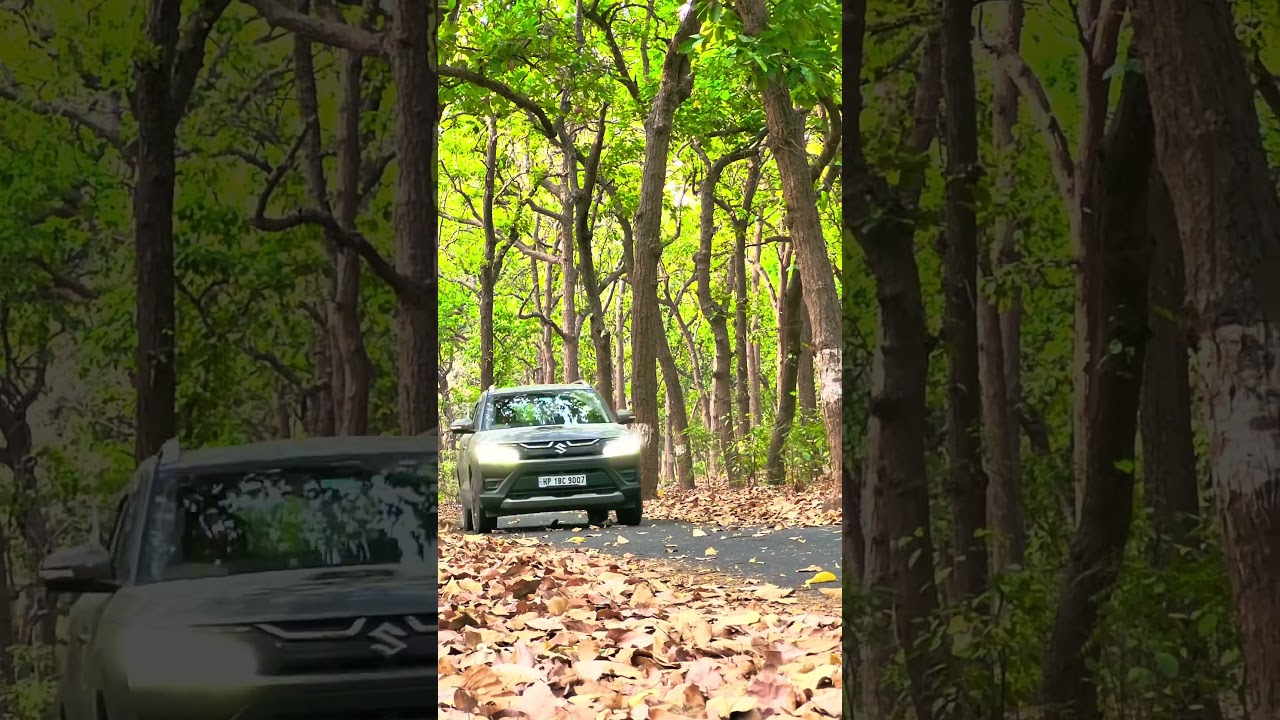 Brezza 2022 Magma Grey in dark Forest area. #brezza #offroad #brezza2024 #trendingshorts #trend