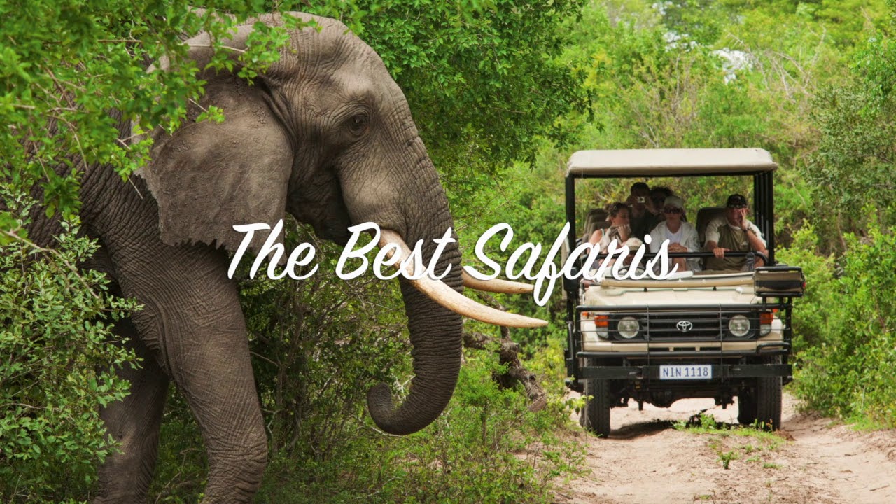 The Best of South Africa travel with The Real South Africa