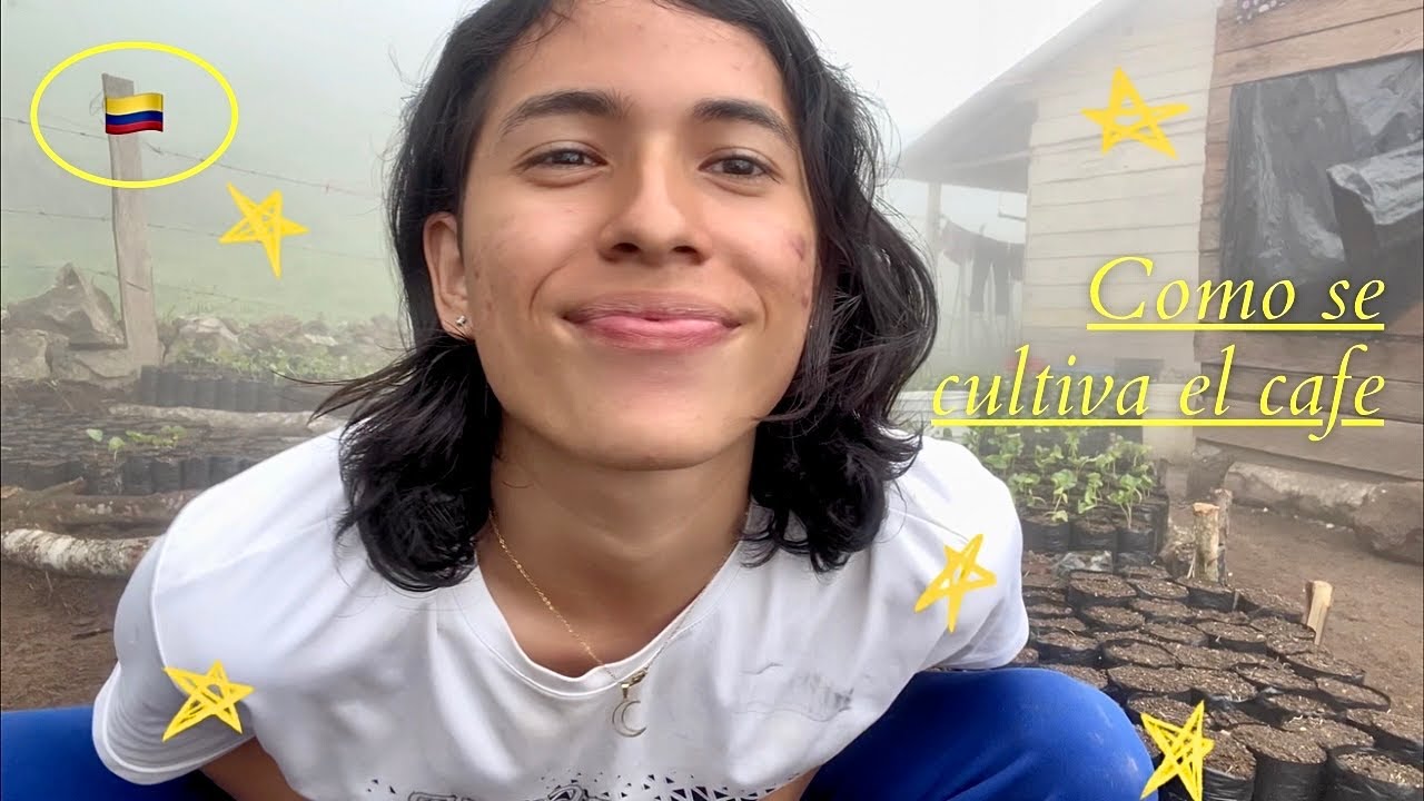 Como se cultiva el cafe en colombia 🇨🇴/Vacaciones en el campo ✨